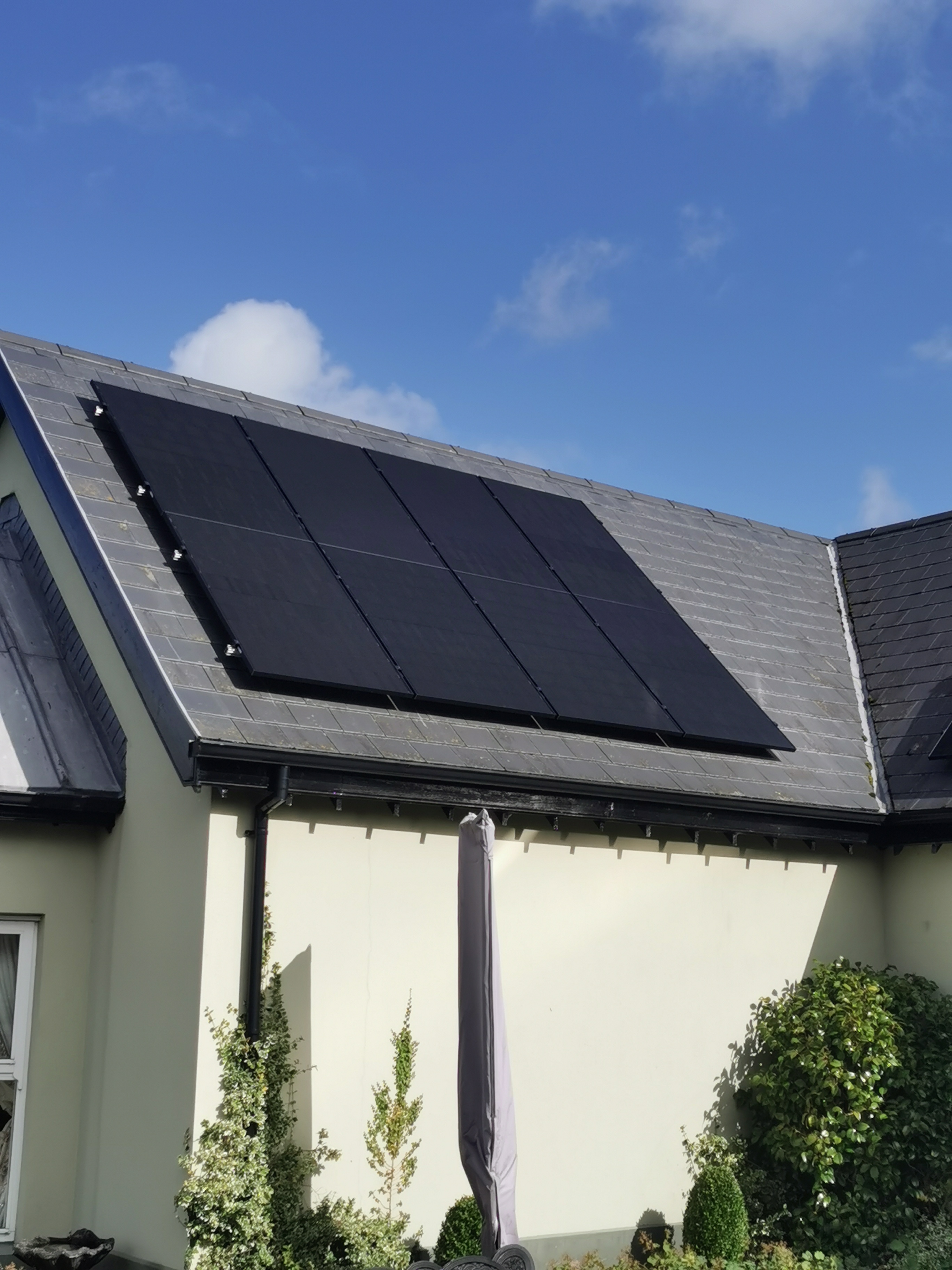 Domestic Thumbnail image